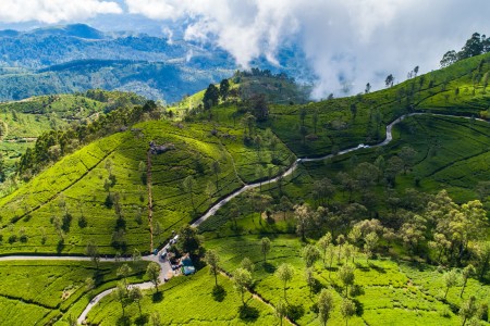 Sri Lanka