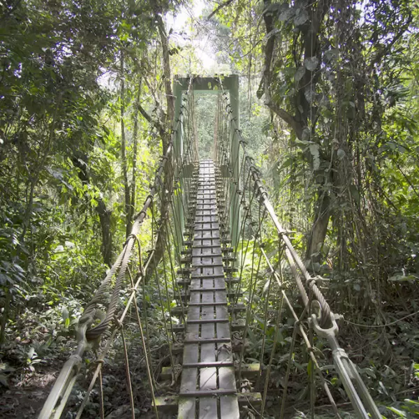 Le parc national du Gunung Mulu
